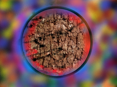 Mehr Sein als Schein